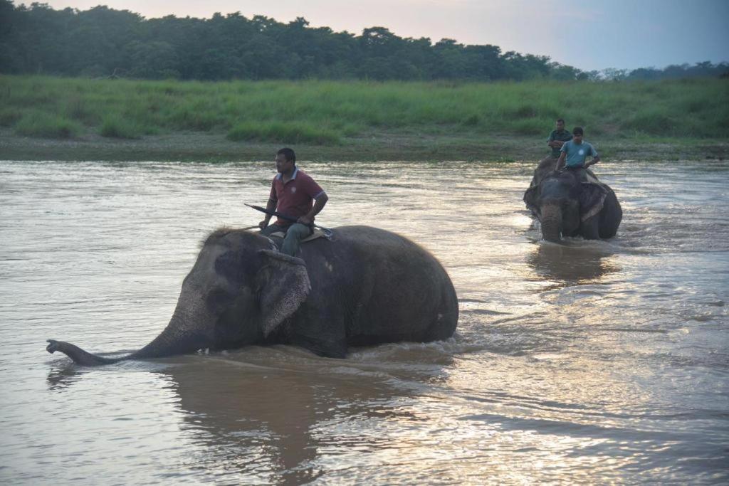 Hotel Greenland Safari Sauraha Exteriér fotografie