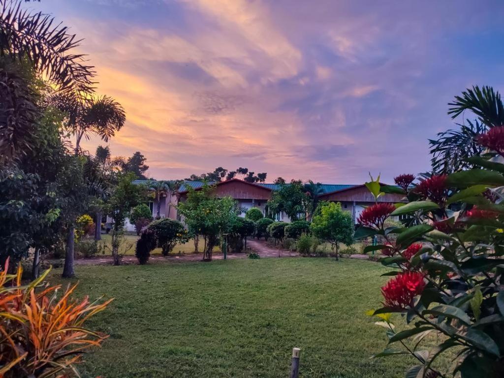 Hotel Greenland Safari Sauraha Exteriér fotografie