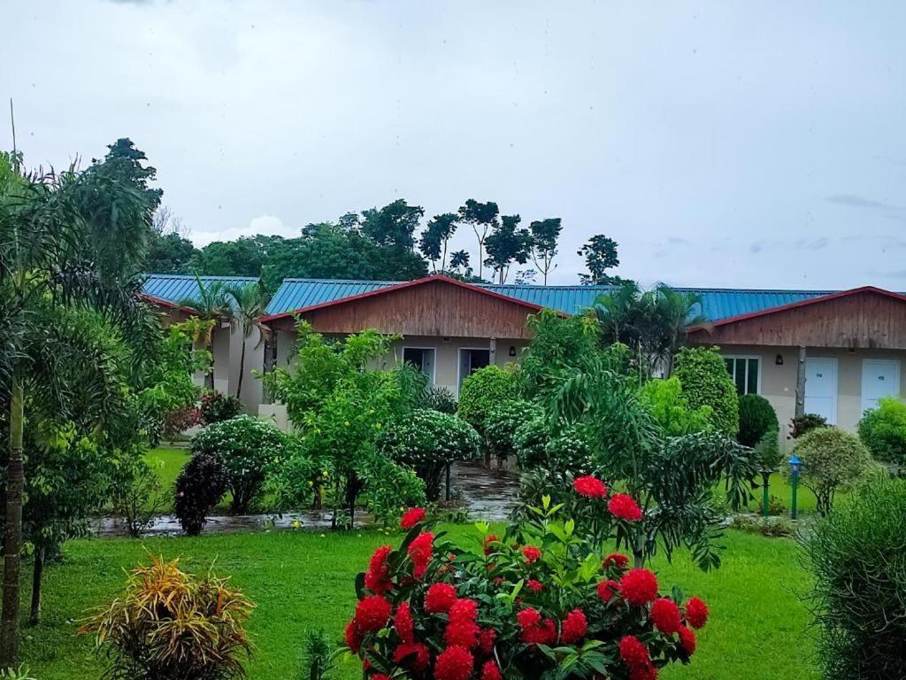 Hotel Greenland Safari Sauraha Exteriér fotografie